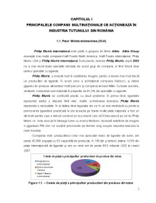 Strategii de Marketing ale Companiilor Multinaționale pe Piața Produselor de Tutun din România - Pagina 4