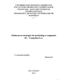 Elaborarea strategiei de marketing a companiei SC Carpatina SA - Pagina 2