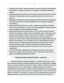 Analiza Firmei SC Prod Ardealul SRL - Pagina 2