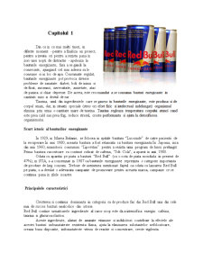 Red Bull - Pagina 2