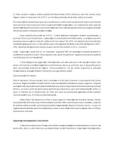 Organisme și Organizații Internaționale - Pagina 4