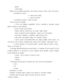 Componențele stațiunii forestiere - Pagina 9