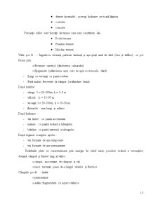 Componențele stațiunii forestiere - Pagina 11