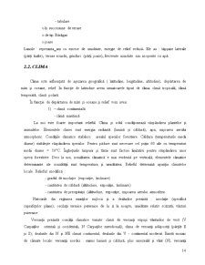 Componențele stațiunii forestiere - Pagina 12