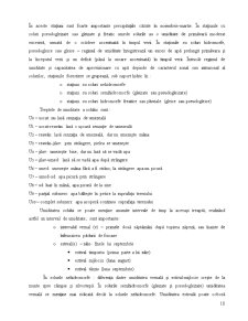 Componențele stațiunii forestiere - Pagina 16