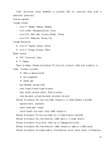 Componențele stațiunii forestiere - Pagina 22