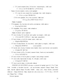 Componențele stațiunii forestiere - Pagina 29