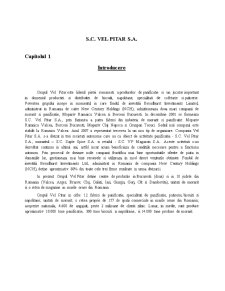 Studiu de Caz SC Vel Pitar SA - Pagina 1