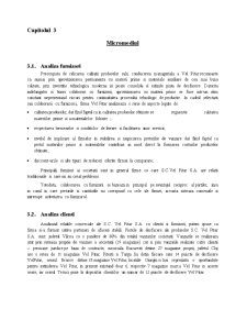 Studiu de Caz SC Vel Pitar SA - Pagina 5