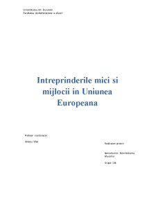 Întreprinderile mici și mijlocii în Uniunea Europeană - Pagina 1