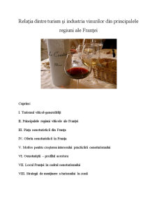 Relația Dintre Turism și Industria Vinurilor din Principalele Regiuni ale Franței - Pagina 1
