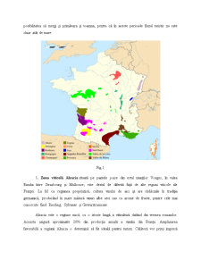 Relația Dintre Turism și Industria Vinurilor din Principalele Regiuni ale Franței - Pagina 3