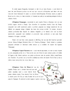 Relația Dintre Turism și Industria Vinurilor din Principalele Regiuni ale Franței - Pagina 5