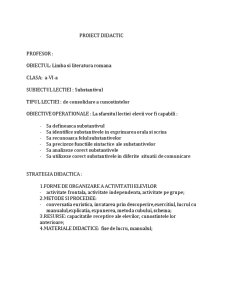 Proiect didactic limba română - substantivul - Pagina 1