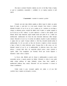 Ordinul Corintic - Pagina 3
