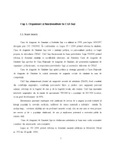 Organizarea Gestiunii Financiare la Casa de Asigurări de Sănatate Iași - Pagina 3