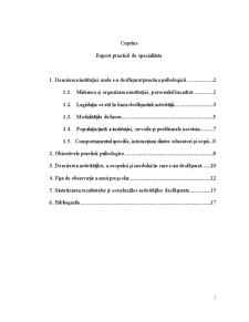 Raport practică de specialitate - Grădinița nr. 19, Sibiu - Pagina 1