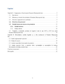 Studiu Aplicativ privind Eficientizarea Activității Primăriei Municipiului Iași - Pagina 2