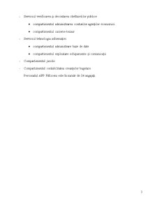 Misiune de audit intern - administrația finanțelor publice Fălticeni - Pagina 3