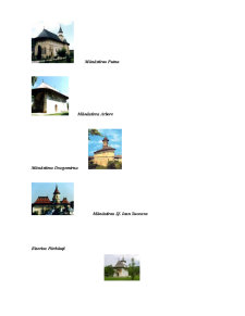 Regiunea turistică Bucovina - Pagina 4