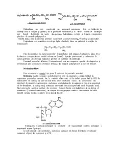 Metabolismul Aminoacizilor - Pagina 5