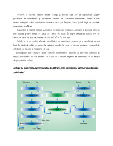 Utilizarea tehnicilor de membrană ( MF, UF, NF ) în industria zahărului - Pagina 3
