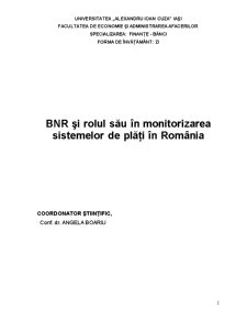 BNR și Rolul Său în Monitorizarea Sistemelor de Plăți în România - Pagina 2
