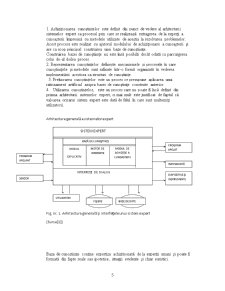 Sisteme Expert în Contabilitate - Pagina 5