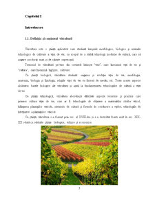 Amendamente Utilizate în Viticultura Ecologică - Pagina 3