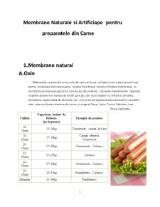 Ambalaje - membrană naturală și artificială la preparatele din carne - Pagina 1