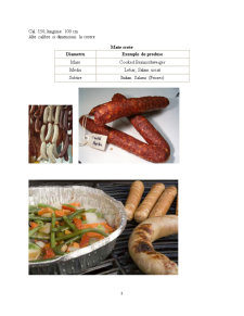 Ambalaje - membrană naturală și artificială la preparatele din carne - Pagina 3