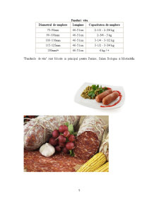 Ambalaje - membrană naturală și artificială la preparatele din carne - Pagina 5