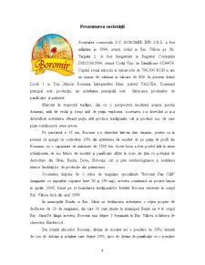 Analiza Costurilor la SC Boromir SRL - Pagina 2