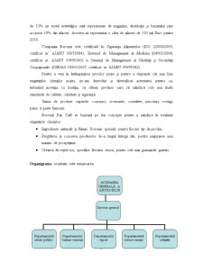 Analiza Costurilor la SC Boromir SRL - Pagina 3