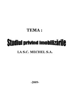 Studiul privind imobilizările la SC Mechel SA - Pagina 1
