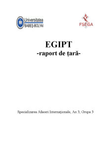 Marketing internațional - Egipt raport de țară - Pagina 1