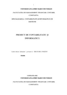Organizarea și conducerea contabilității stocurilor de materii prime materiale și mărfuri - SC Conex SA - Pagina 1