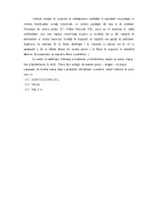 Sistemul Logistic al SC Ovidius Mercado SRL - Pagina 5