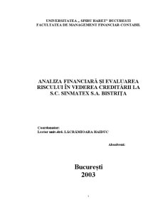 Analiza financiară și evaluarea riscului în vederea creditării la SC Sinmatex SA Bistrița - Pagina 2