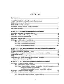 Analiza financiară și evaluarea riscului în vederea creditării la SC Sinmatex SA Bistrița - Pagina 3
