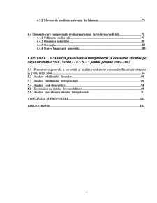 Analiza financiară și evaluarea riscului în vederea creditării la SC Sinmatex SA Bistrița - Pagina 4