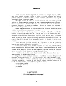 Analiza financiară și evaluarea riscului în vederea creditării la SC Sinmatex SA Bistrița - Pagina 5