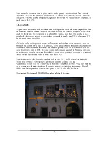 Strategie de afacere Restaurant Central Bistrița - Pagina 4