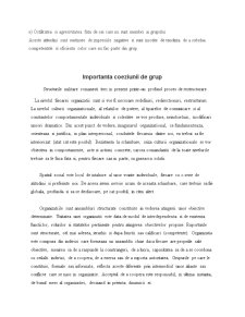 Direcții de acțiune pentru întărirea coeziunii grupului - Pagina 5