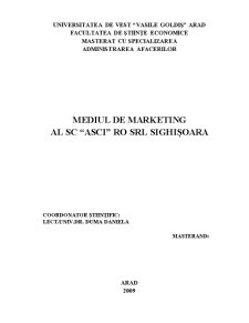 Mediul de Marketing al SC ASCI RO SRL Sighișoara - Pagina 2