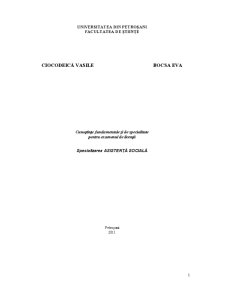 Cunoștințe Fundamentale și de Specialitate pentru Examenul de Licență - Pagina 1