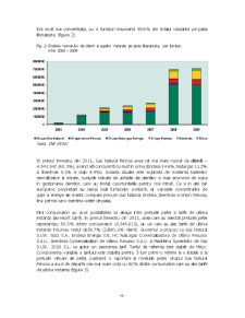 Piața internă a gazelor naturale în Spania - Pagina 4