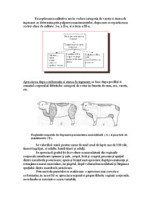 Tehnologia procesării cărnii și a produselor din carne - Pagina 3