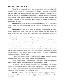 Soluri - Pagina 4
