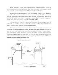 Sisteme de Reducere a Pulberilor Metalice prin Metode Umede - Pagina 5